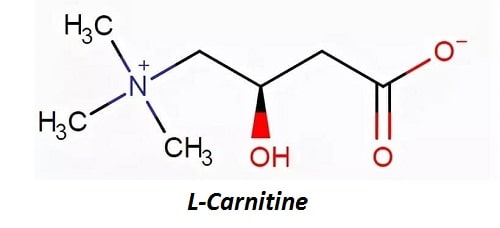 Формула L-карнитина.