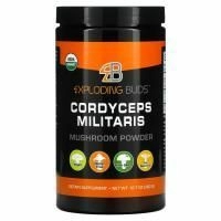 Exploding Buds, кордицепс военный, грибной порошок, 360 г (12,7 унции)