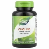 Nature's Way, Холин, 500 мг, 100 таблеток