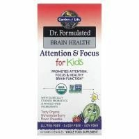 Garden of Life, Dr. Formulated для мозга, внимания и концентрации у детей, вкус органического арбуза и ягод, 60 вкусных жевательных таблеток