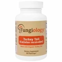 Fungiology, Траметес разноцветный полного спектра (Coriolus Versicolor), сертифицированный органический, поддержка клеток, 90 Plantcaps (Discontinued Item)