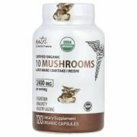 Nature's Fusions, Nutri, 10 органических грибов, львиная грива, шиитаке, рейши, 2400 мг, 120 органических капсул (600 мг на капсулу)