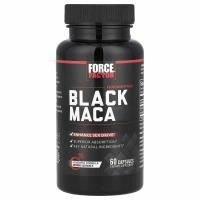 Force Factor, Fundamentals, черная мака, 60 капсул