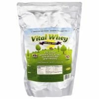 Well Wisdom, Сыворотка Vital, натуральное какао, 2,5 фунта (1,13 кг)