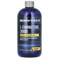 BodyTech, L-карнитин 3000, персик и манго, 709 мл (24 жидк. унции)