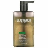 Blackwood For Men, шампунь для активных мужчин, для ежедневного использования, 263,73 мл (8,92 жидк. унции)