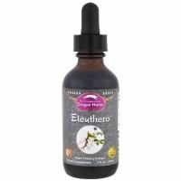 Dragon Herbs, Особо концентрированный экстракт сибирского женьшеня, 2 ж. унц. (60 мл)