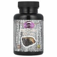 Dragon Herbs, Дикая сибирская чага, 500 мг, 100 капсул