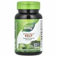 Nature's Way, Kelp, Целый слоевище, 600 мг, 100 веганских капсул