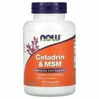 Now Foods, Целадрин и MSM, 120 капсул