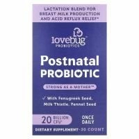 LoveBug Probiotics, пробиотик для послеродового периода, 20 млрд КОЕ, 30 капсул