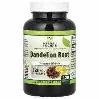Herbal Secrets, Корень одуванчика, 520 мг, 120 растительных капсул