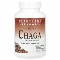 Planetary Herbals, Полный спектр, чага, 1000 мг, 60 таблеток