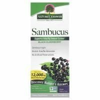 Nature's Answer, Sambucus, черная бузина, 12000 мг, 240 мл (8 жидк. унц.)