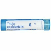 Boiron, Single Remedies, Туя западная, 6C, 80 драже