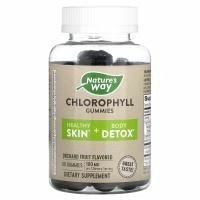 Nature's Way, хлорофилл, жевательные таблетки, со вкусом фруктового сада, 100 мг, 60 жевательных таблеток (50 мг в 1 жевательной таблетке)