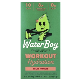 Waterboy, Workout Hydration, смесь для приготовления электролитического напитка, со вкусом фруктового пунша, 10 пакетиков-стиков по 6,5 г (0,23 унции)