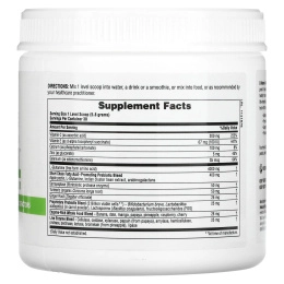 Nature's Plus, Быстродействующий порошок GI Natural, 0,38 ф. (174 г)