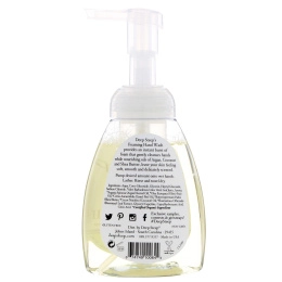 Deep Steep, Средство для мытья рук с аргановым маслом, кокос и лайм, 8 жидких унций (273 мл)