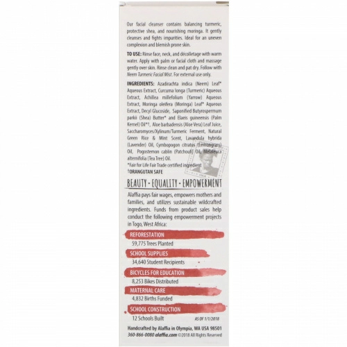 Alaffia, Neem Tumeric Cleanser with Yarrow & Moringa, 3.4 fl oz (100 ml)