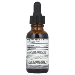 Nature's Answer, Гинкго без спирта, 500 мг, 1 жидкая унция (30 мл)