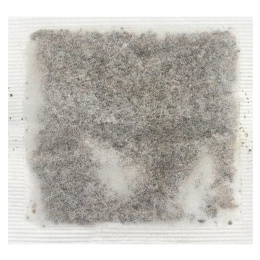 Celestial Seasonings, Holiday Green Tea, Candy Cane Lane®, без кофеина, 18 чайных пакетиков, 35 г (1,2 унции)