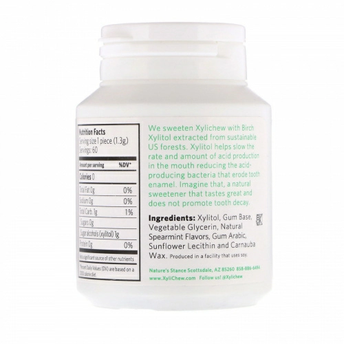 Xylichew, Spearmint, 60 Pieces, 2.75 oz (78 g)