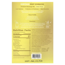 Everydaze, Reset Kombucha, порошковая смесь для напитков, лимонный имбирь, 10 пакетиков по 5 г (0,18 унции)