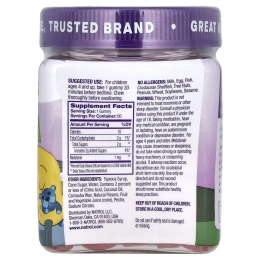 Natrol, Kids, жевательная добавка с мелатонином, для детей от 4 лет, с малиновым вкусом, 60 жевательных таблеток