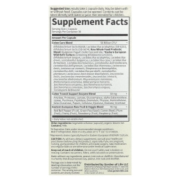 Garden of Life, Сырые пробиотики, для здоровья кишечника, 30 капсул на растительной основе (Ice)