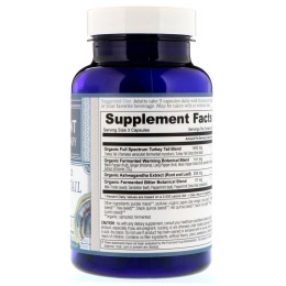 Ancient Apothecary, Траметес разноцветный ферментированный, 90 капсул