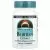 Source Naturals, Экстракт черники, 100 мг, 120 таблеток