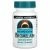 Source Naturals, Бромелаин, 2000 GDU/г, 500 мг, 60 таблеток