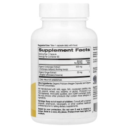 Super Nutrition, органический гриб кордицепс с имбирём, 60 вегетарианских капсул