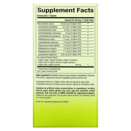 Natural Factors, Whole Earth & Sea, цельнопищевой синбиотик пре + пробиотик, 10 миллиардов, 60 вегетарианских капсул