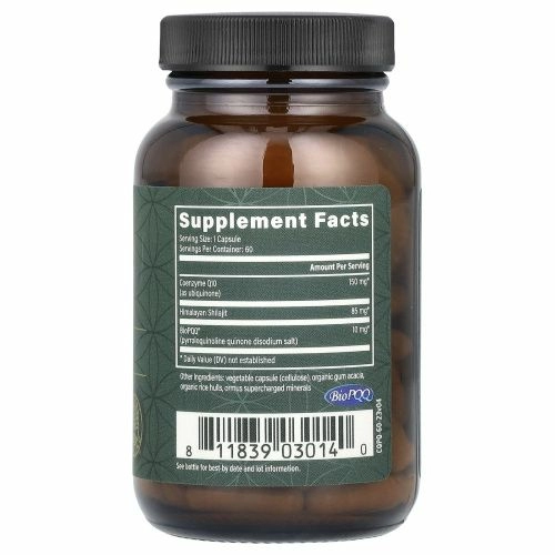 Global Healing, коэнзим Q10, BioPQQ с гималайским мумие, 60 капсул