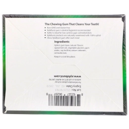 Xyloburst, Полностью натуральная жевательная резинка с ксилитолом, мята, 12 упаковок, 12 штук в упаковке