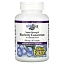 Natural Factors, BlueRich, суперсила, концентрат черники, 500 мг, 90 желатиновых капсул