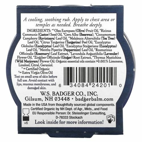 Badger Company, Органическая ароматическая мазь с эвкалиптом и мятой, .75 унций (21 г)