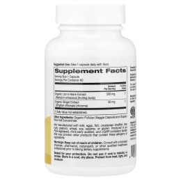 Super Nutrition, органический гриб ежовик гребенчатый с имбирём, 60 вегетарианских капсул