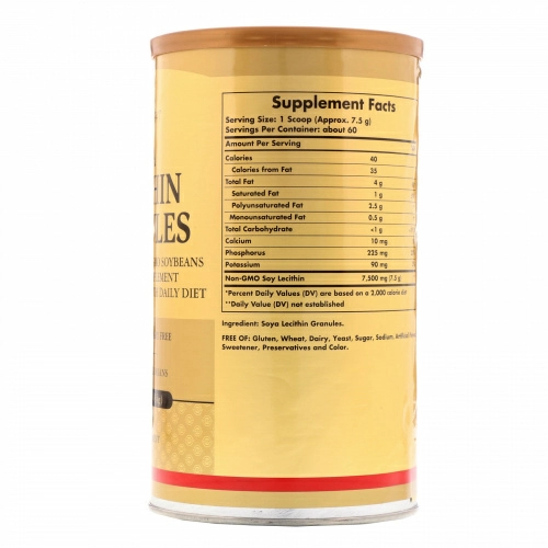 Solgar, Soya Lecithin Granules, 16 oz (454 g)