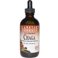 Planetary Herbals, Full Spectrum Chaga, 4 fl oz (118.28 ml)