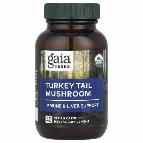 Gaia Herbs, трутовик разноцветный, 40 веганских капсул