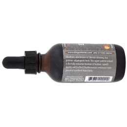 Dragon Herbs, Особо концентрированный экстракт сибирского женьшеня, 2 ж. унц. (60 мл)