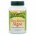 Sunny Green, Blue-Green Algae, 120 Tablets
