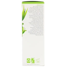 InstaNatural, Увлажняющий и очищающий кожу лица тонер с витамином С и салициловой кислотой, 4 жид. унц. (120 мл)