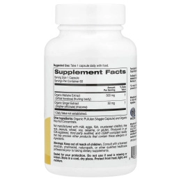 Super Nutrition, органический гриб-баран с имбирём, 60 вегетарианских капсул