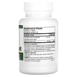 Mushroom Wisdom, Super Lion's Mane, 120 вегетарианских таблеток