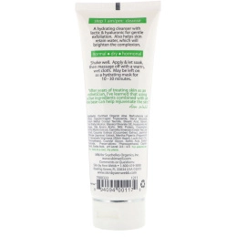 Skin By Ann Webb, Skin Brightening Cleanser, Peppermint Milk, 4 fl oz