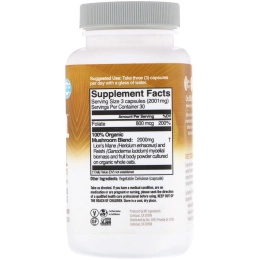 Organic Mushroom Nutrition, Топливо для мозга, на основе ежовика гребенчатого+ фолата, 667 мг, 90 вегетарианских капсул